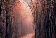 虎扑体育官网:欧国联:比利时0比1输给意大利.