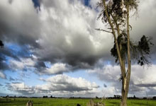 虎扑体育官网:-落后德国,意大利自年联合会杯以来首次半场落后球.