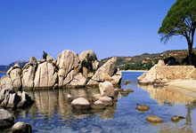 虎扑体育官网:全国春季游泳锦标赛:山东选手季新杰 张展硕接连夺冠.